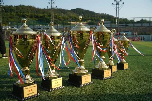 拒医嘱带伤战奥运大王痛谁能懂